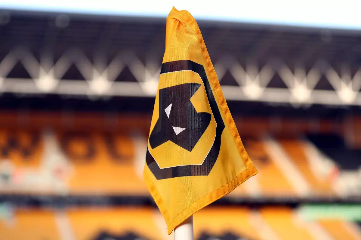 Wolves corner flag badge logo