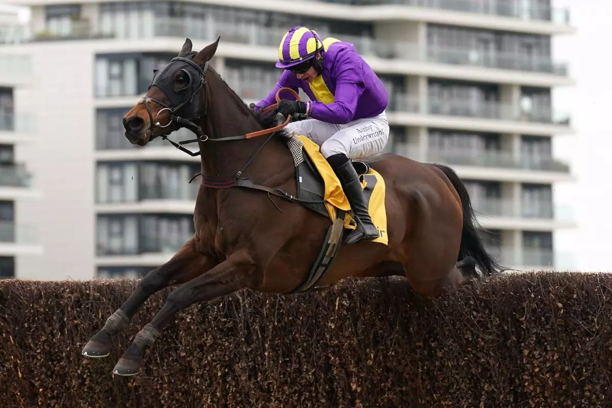 Zanza ridden by Tom O'Brien