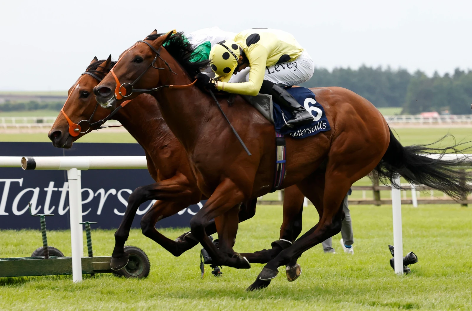 Rosallion ridden by Jockey Sean Levey at the Curragh