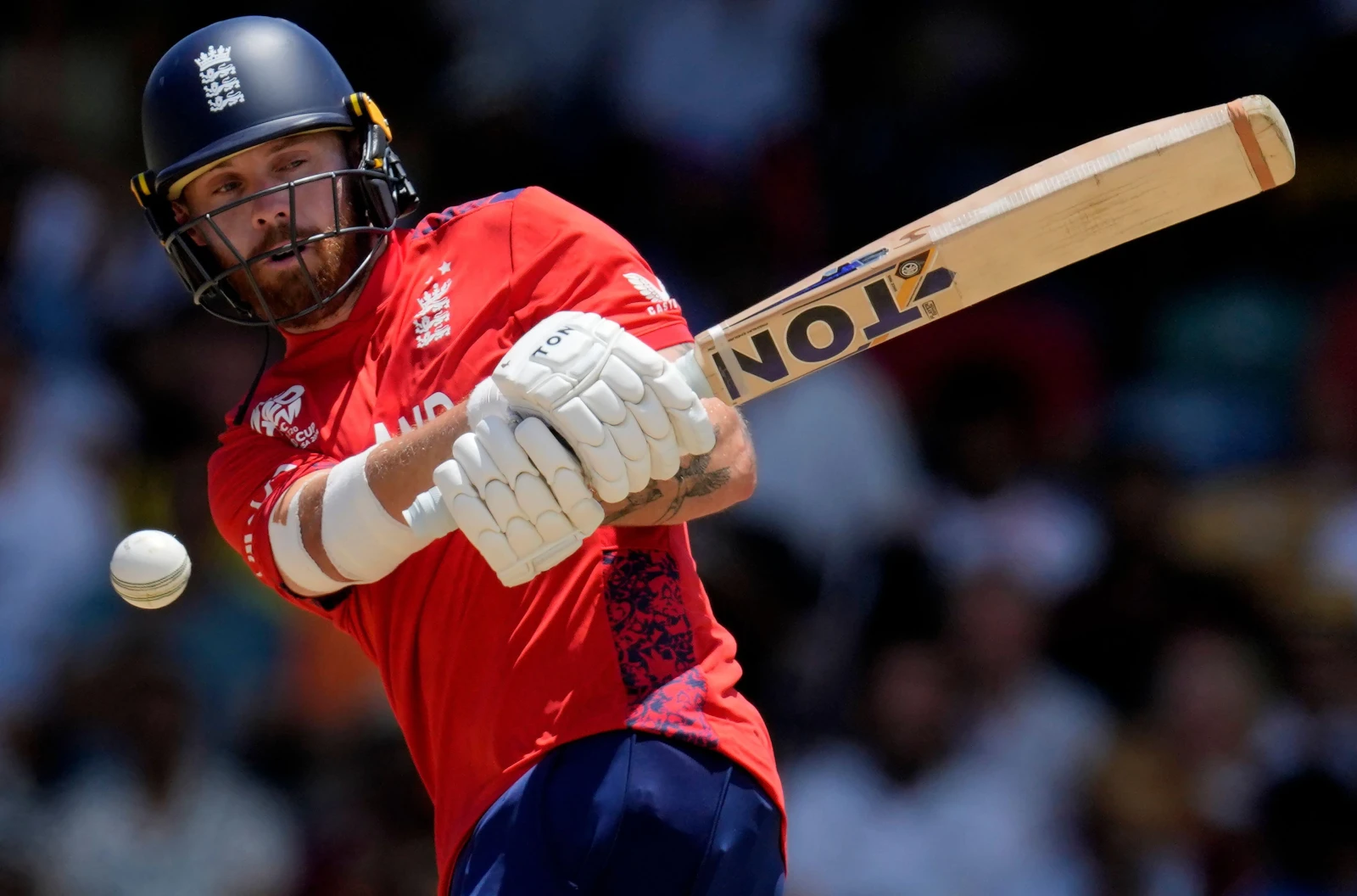 England's Phil Salt at the T20 World Cup
