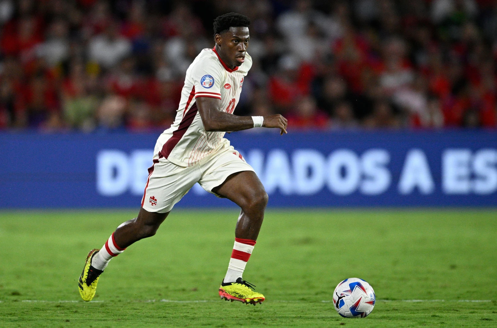 Canada's Jonathan David at Copa America 2024