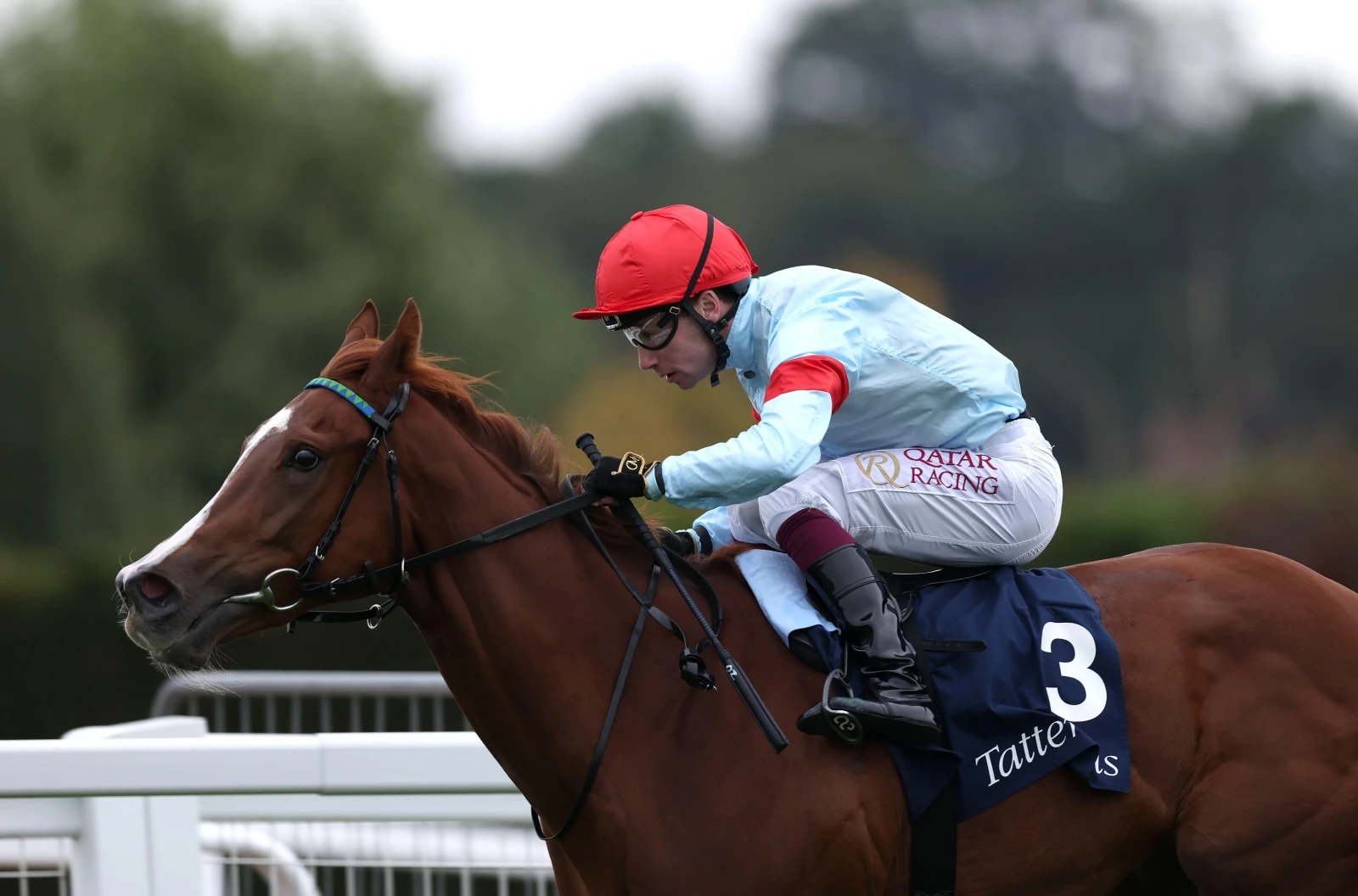 Flight ridden by Oisin Murphy