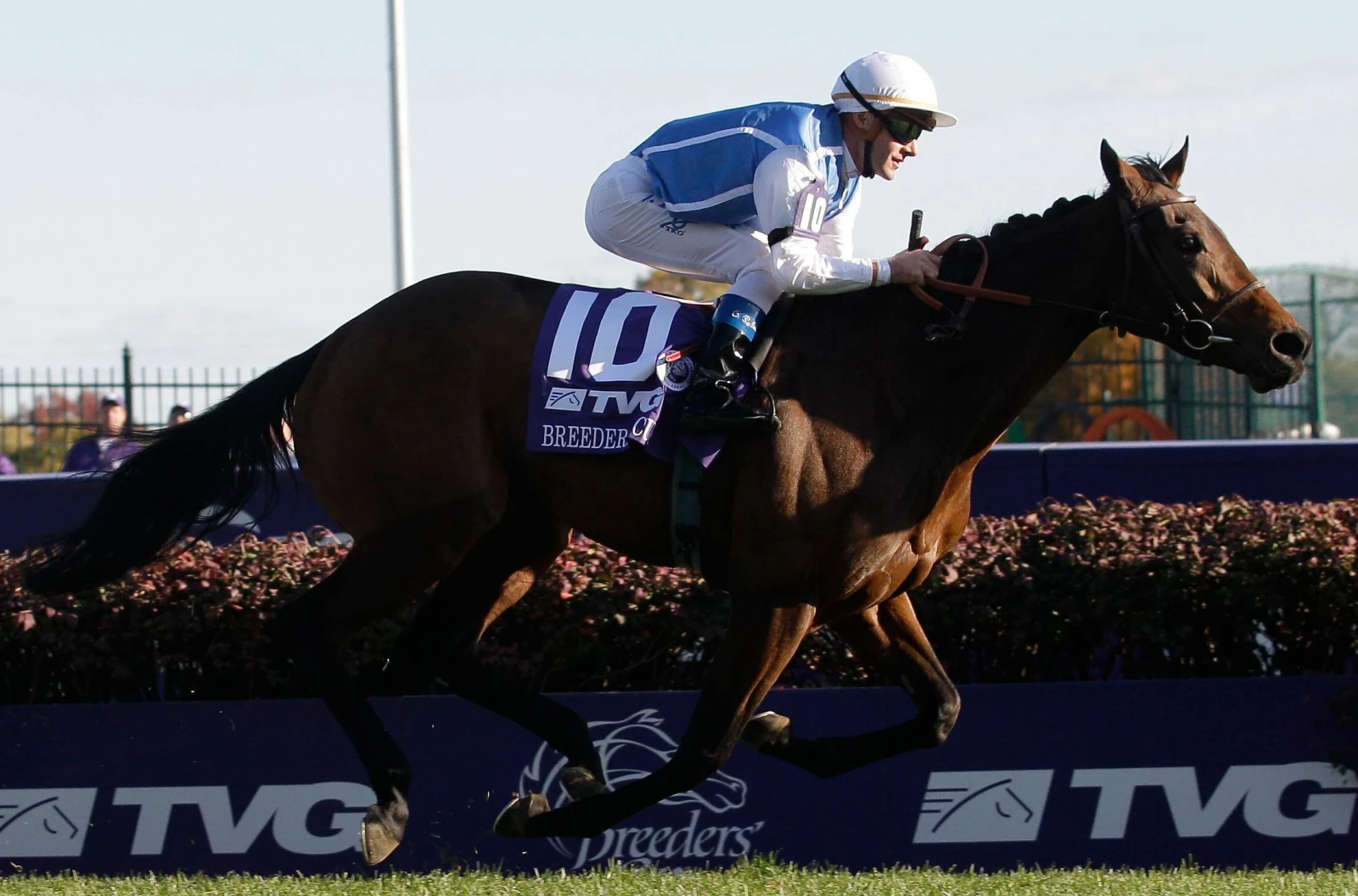 Olivier Peslier rides Goldikova in the Mile race at the Breeder's Cup