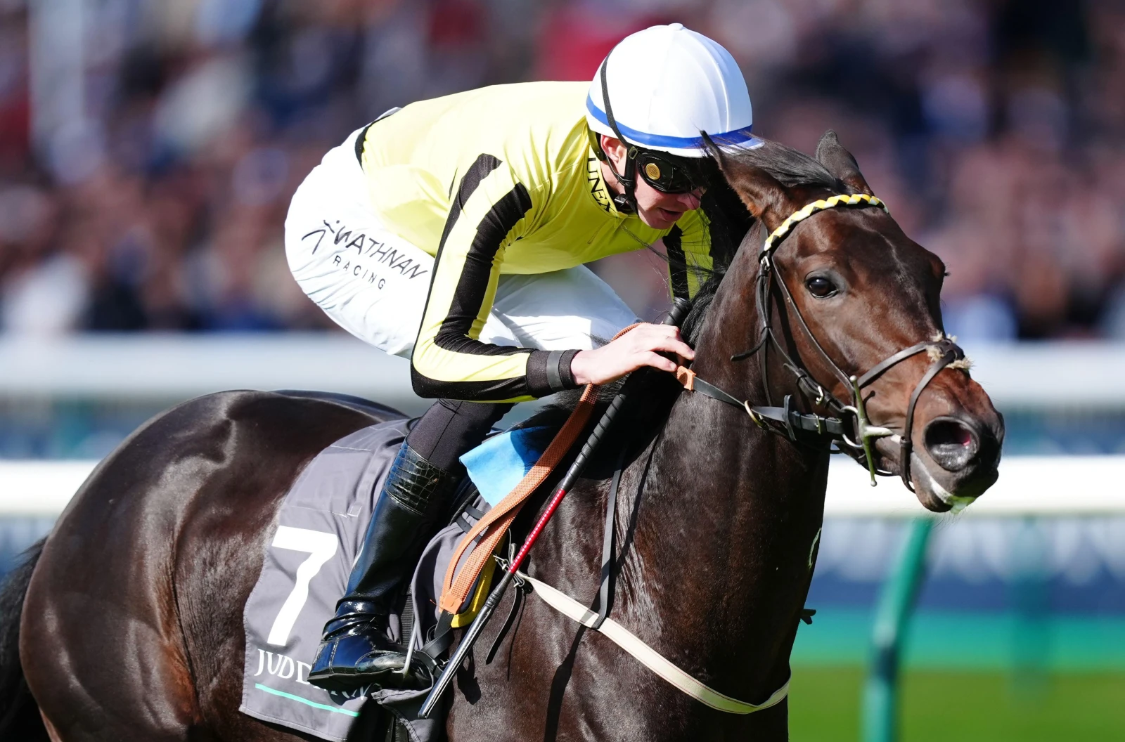 Wimbledon Hawkeye ridden by James Doyle wins the Juddmonte Royal Lodge Stakes