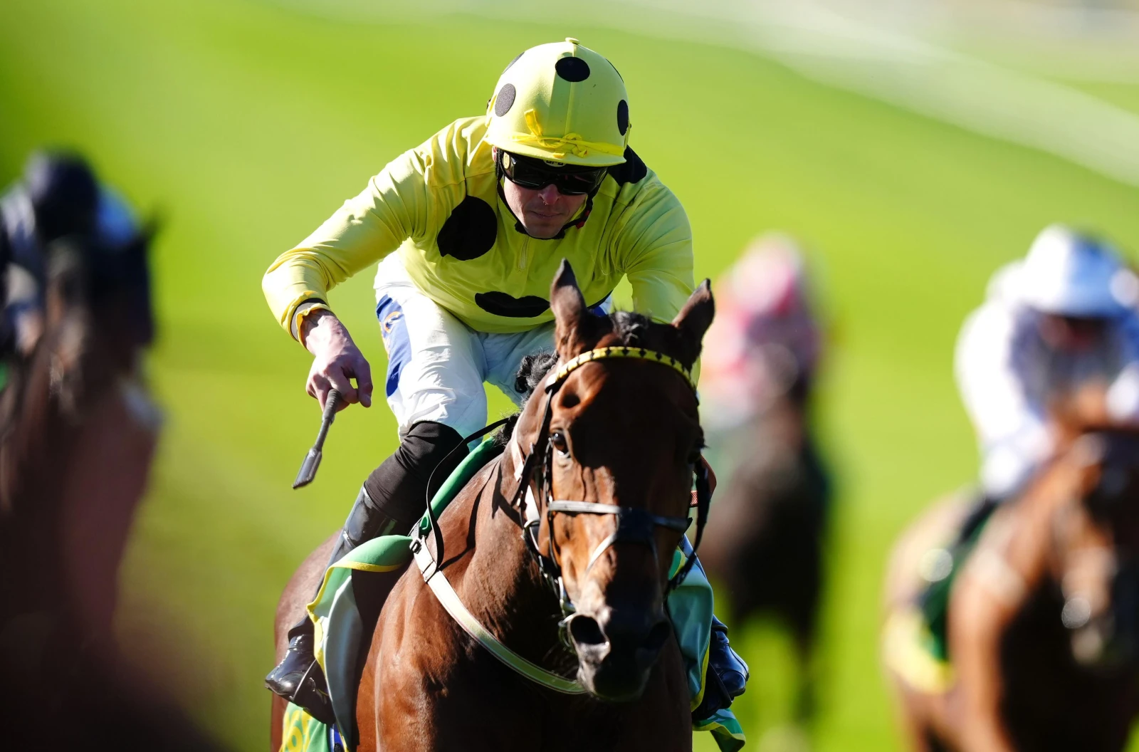 Liberty Lane ridden by Clifford Lee win the Cambridgeshire at Newmarket