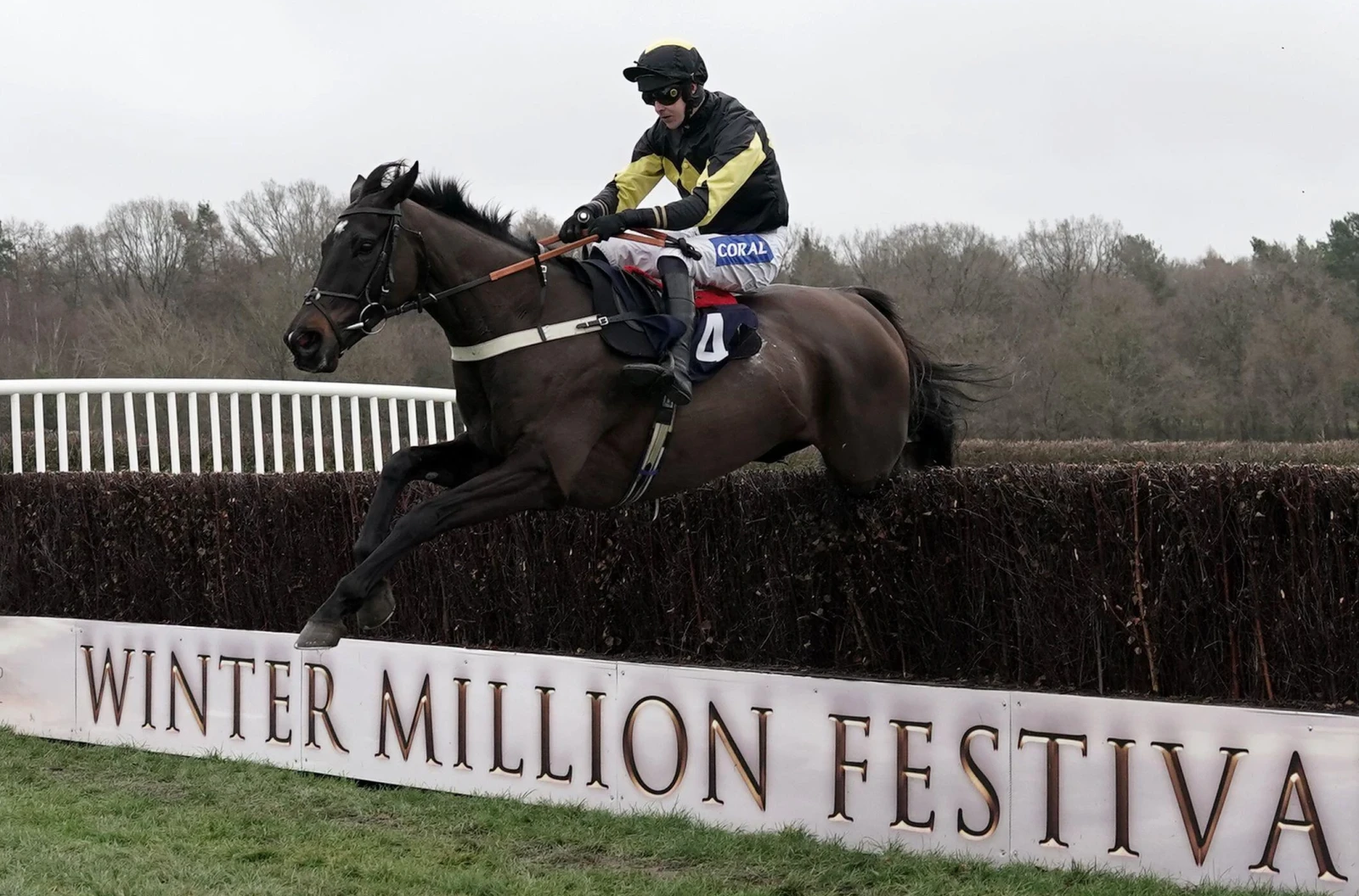 JPR One ridden by Brendan Powell at Lingfield