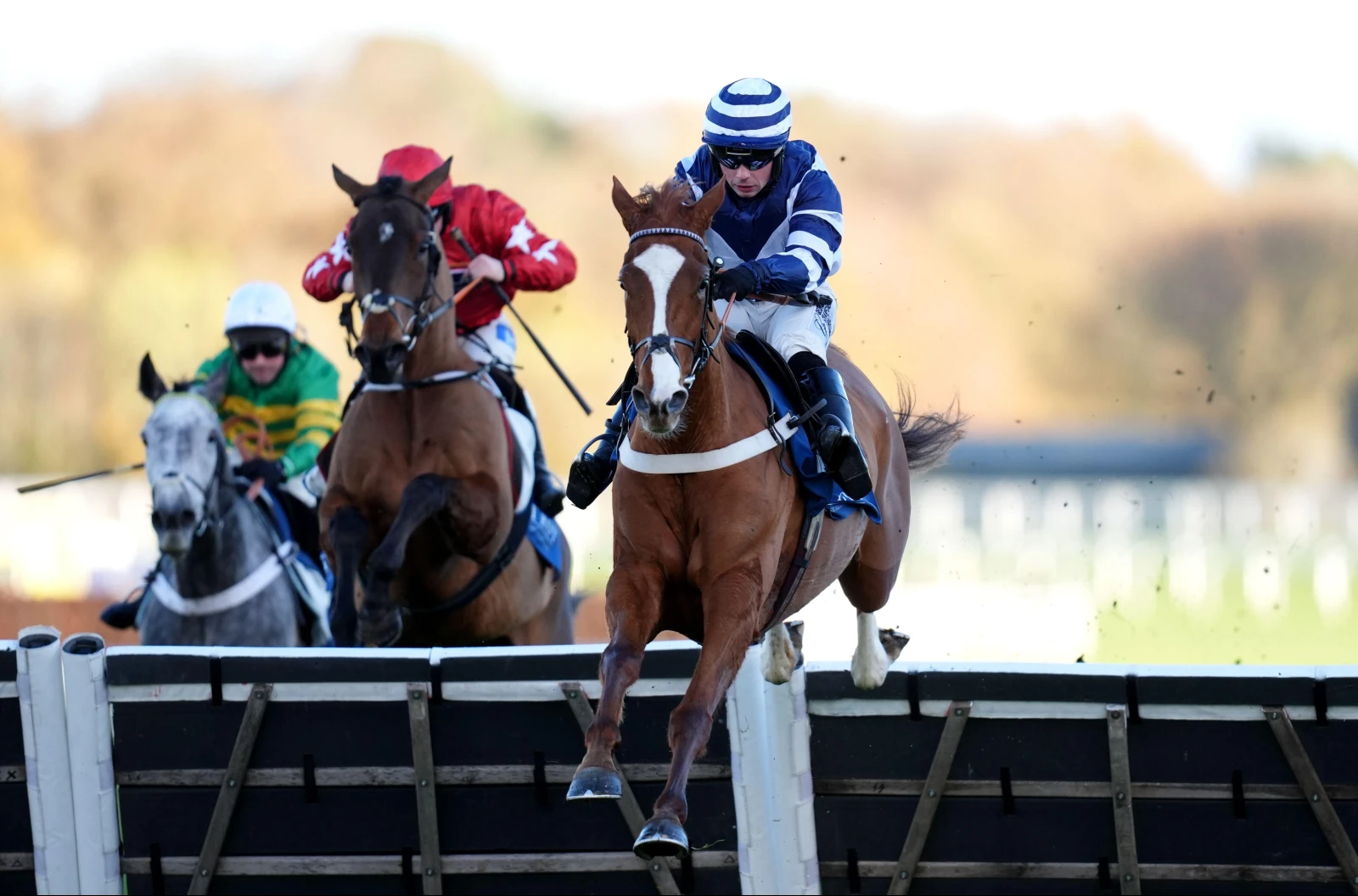 Celtic Dino ridden by Dylan Johnston