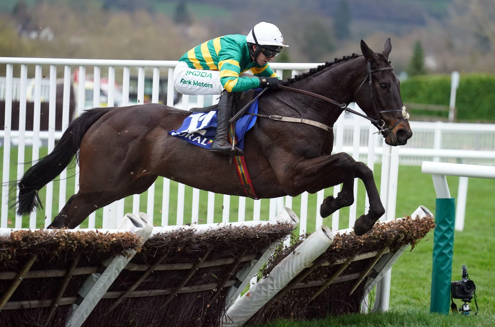 Sa Majeste ridden by Mark Walsh during the Coral Cup Handicap Hurdle