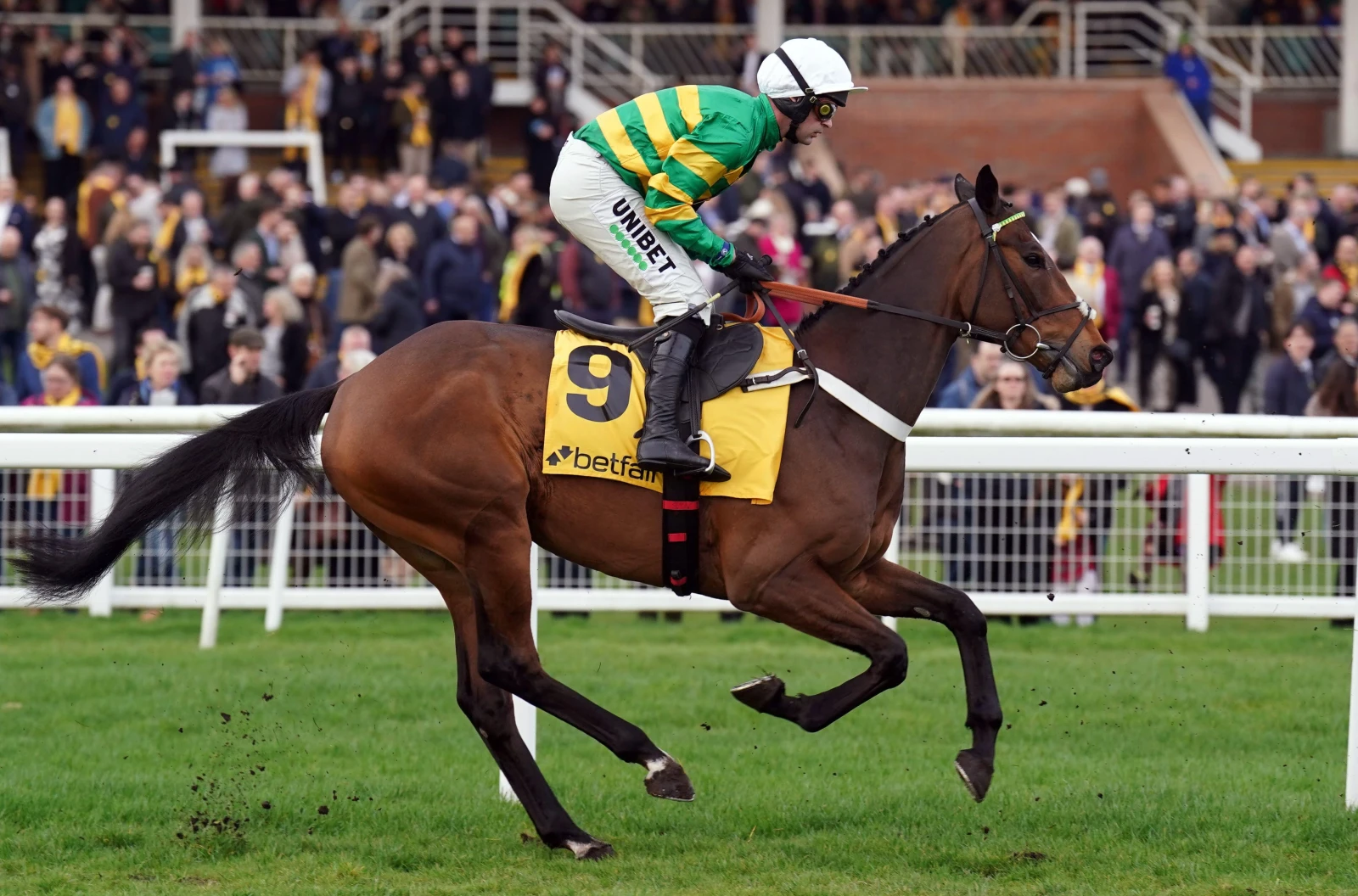 Nico de Boinville aboard Iberico Lord