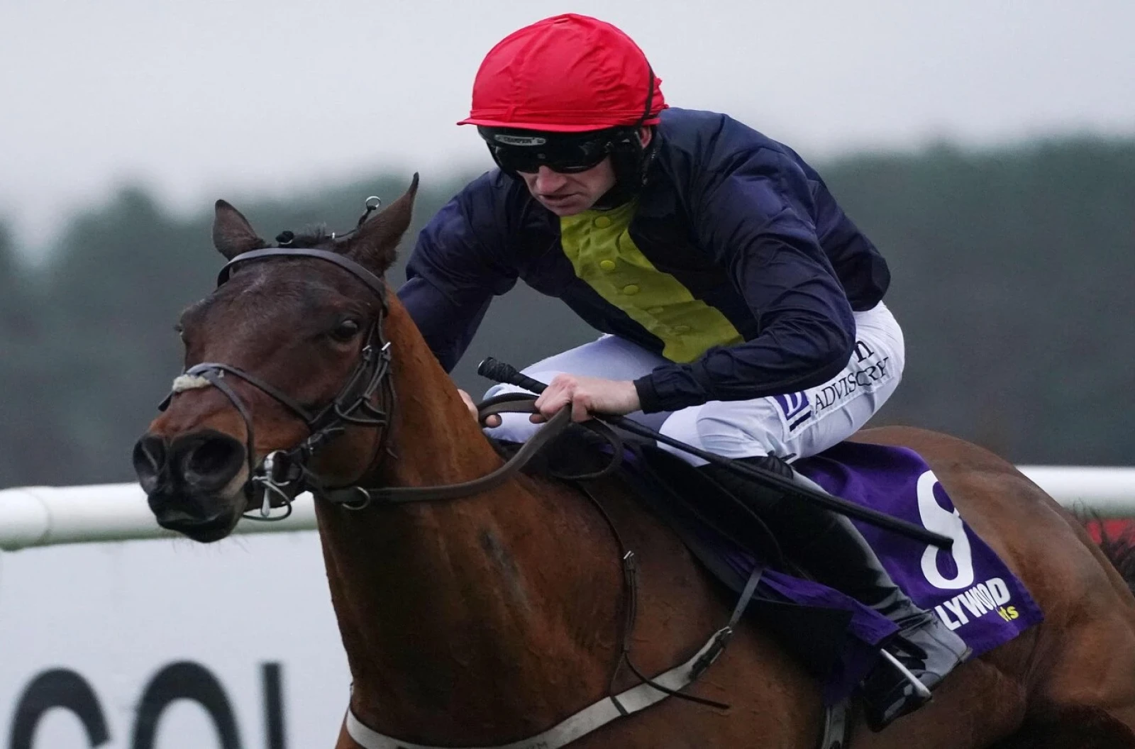 james's gate ridden by Patrick Mullins