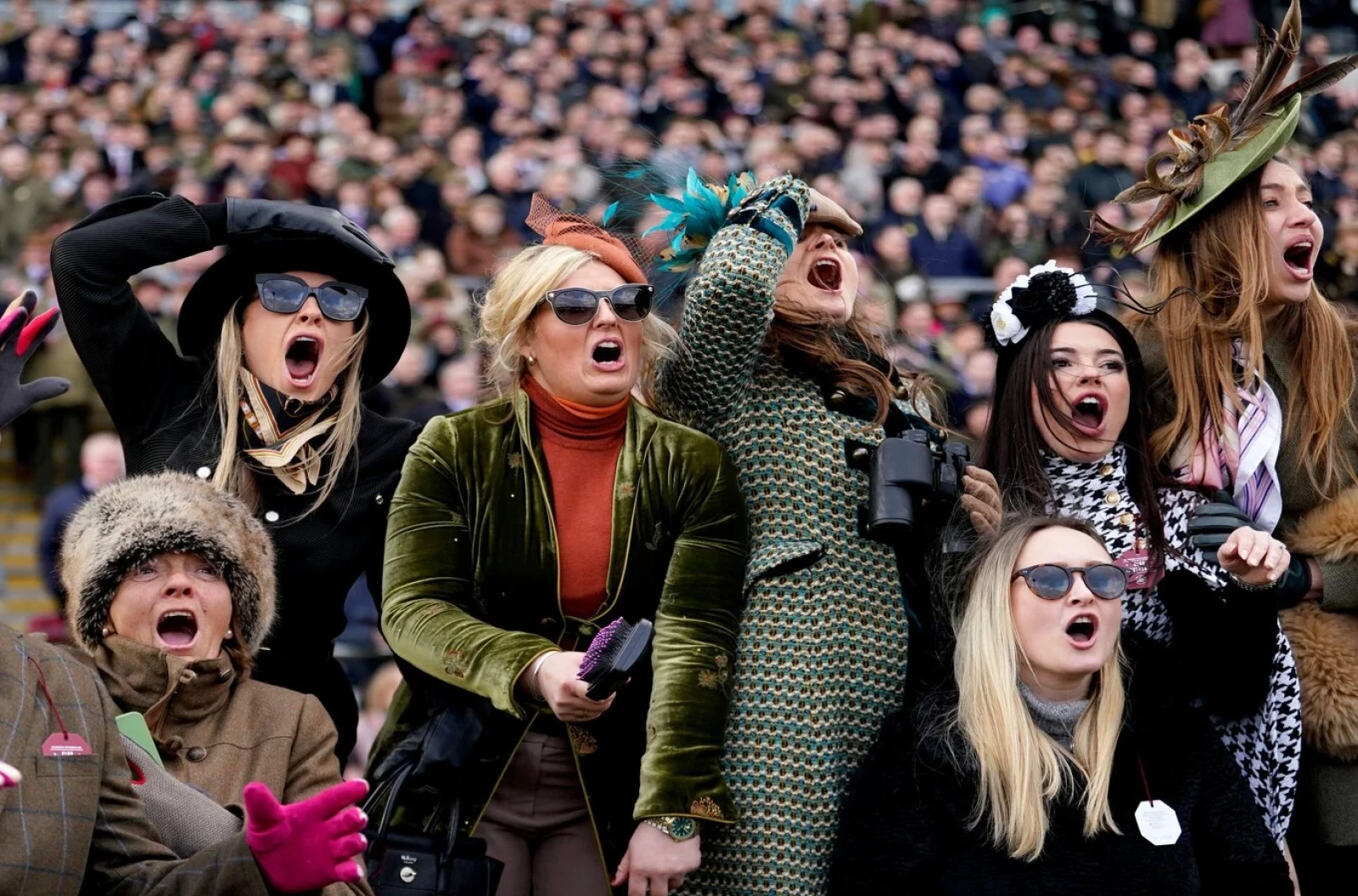 Cheltenham racegoers