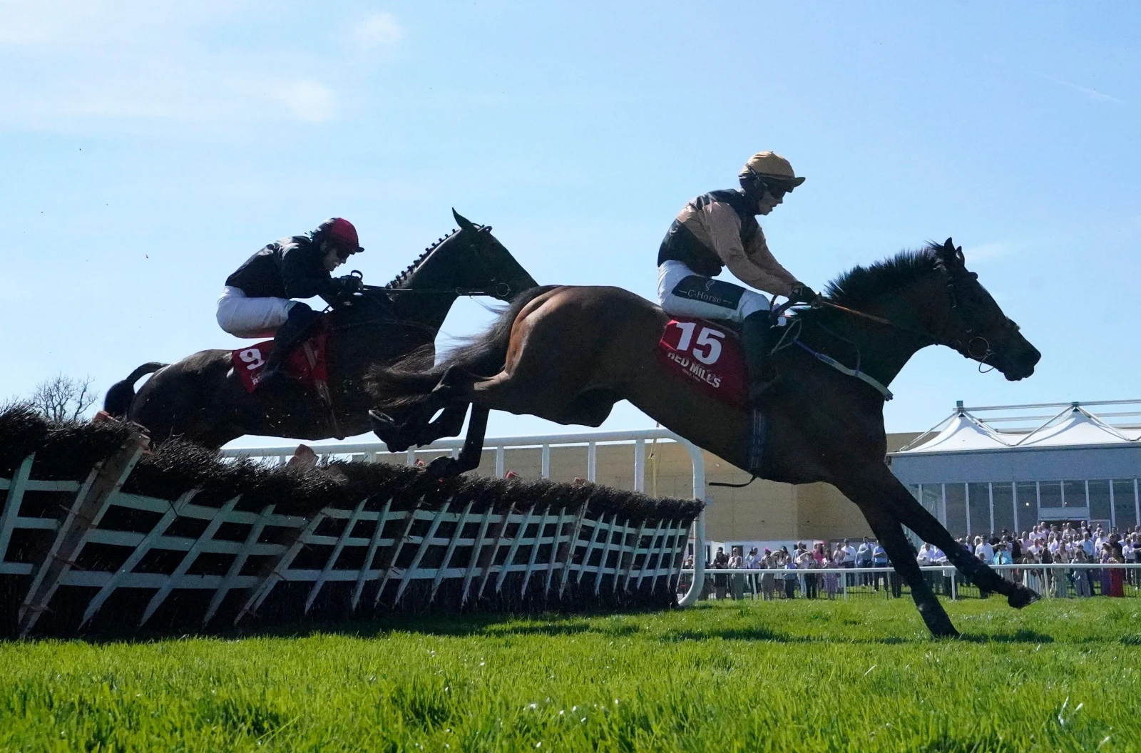 Thisistheway ridden by John Shinnick on their way to winning the Connolly's RED MILLS Irish EBF Auction Hurdle Series Final at the 2025 Punchestown Festival