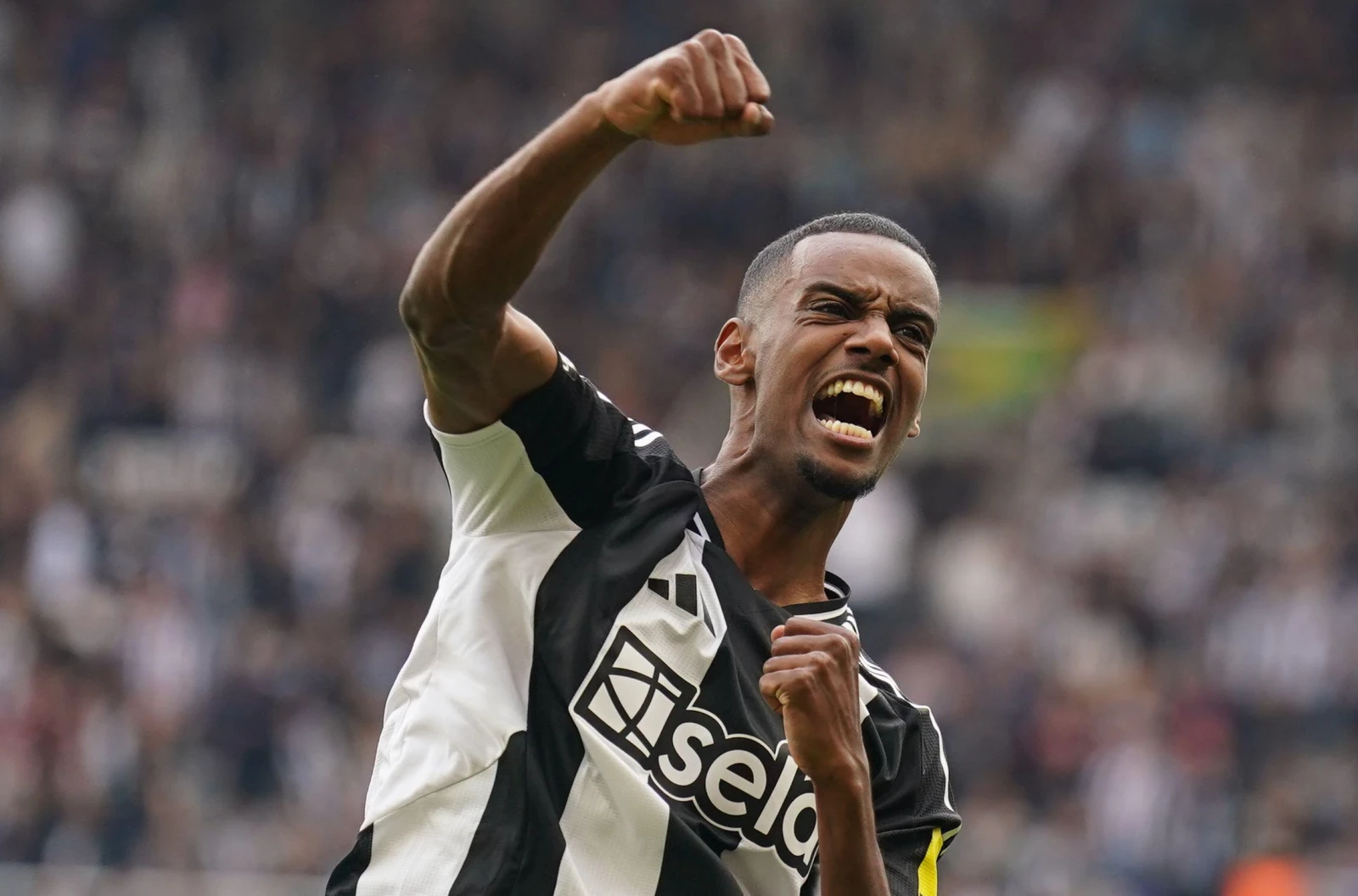 Newcastle United's Alexander Isak celebrates scoring