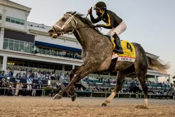 Gulfstream Park, Knicks Go, Joel Rosario