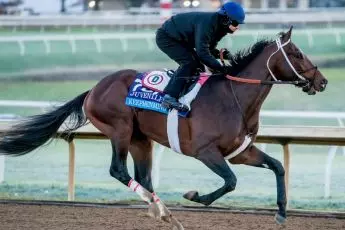 Keepmeinmind prepares for the Breeders' Cup Juvenile