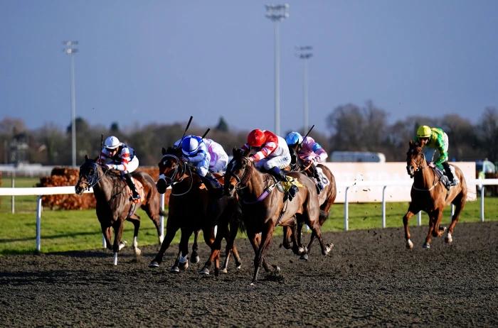 Kempton racing top tip: Another all-weather win is Brewing for William Haggas and Tom Marquand