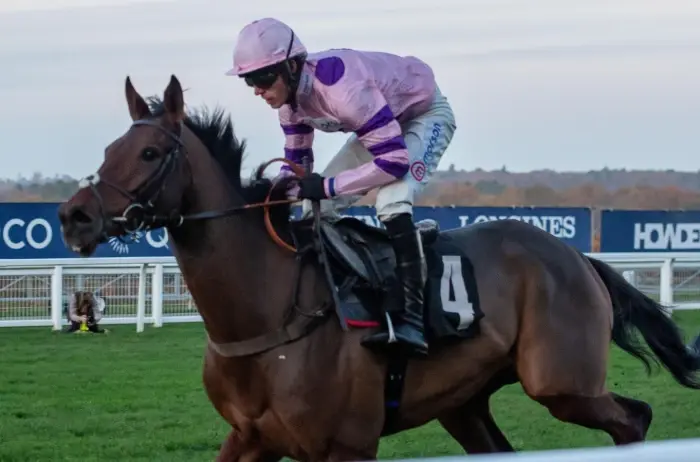 Harry Cobden's horses to follow in the 2024/25 National Hunt season
