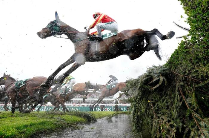 Aintree best each-way bet: Sans Bruit leads the trends for the Red Rum Chase