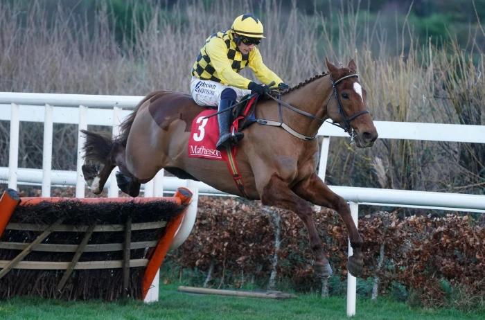 State Man caps an incredible season with victory in Champion Hurdle at Punchestown.