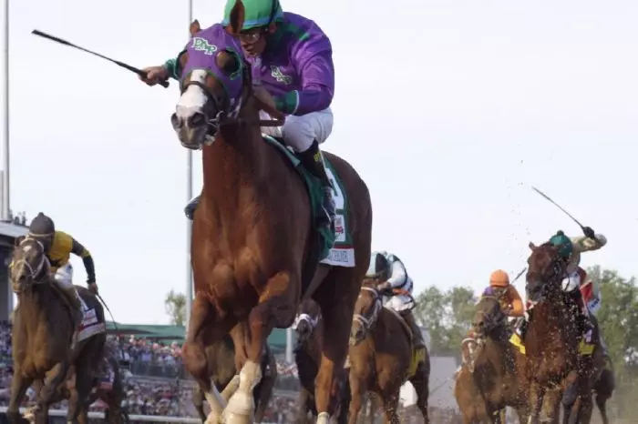 California Chrome narrowly missed out on winning the US Triple Crown in 2014