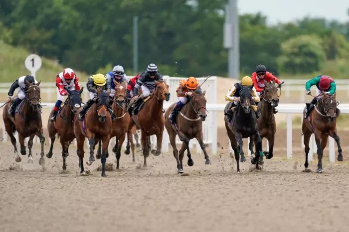 Chelmsford top racing tip: Bergamasco fancied to defy outsider odds