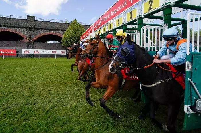 Chester trends best bet (1330): Course experience key in helping Winged Messenger fly home