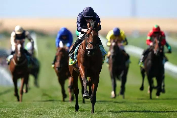 Newmarket 2000 Guineas best bets: Notable Speech and Haatem can chase City Of Troy home