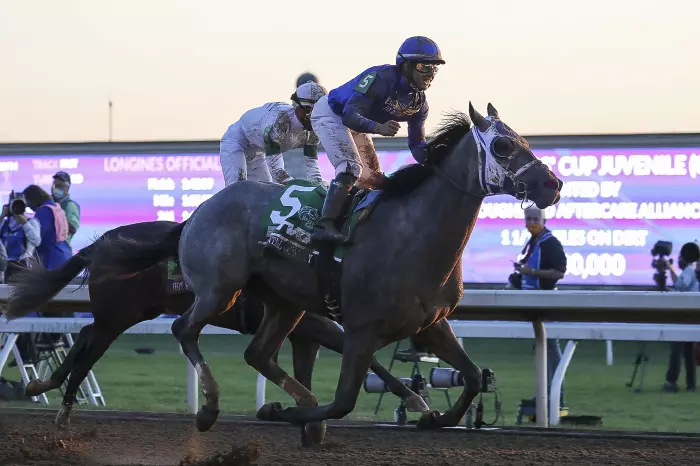 Essential Quality, 37th Breeders Cup World Championship, Keeneland Race Track, 2020