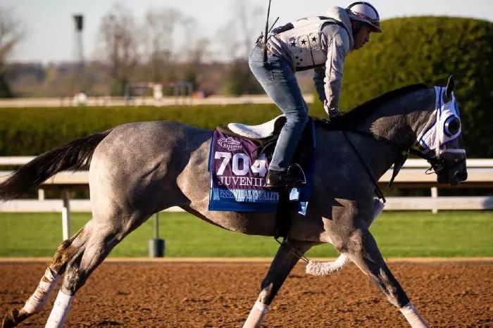 2020 Breeders' Cup Juvenile and Breeders' Futurity winner Essential Quality