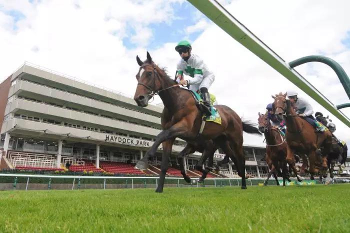 Haydock each-way betting tips: One True King and Pileon poised to outrun tasty outsider odds