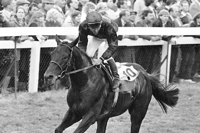 Joe Mercer wins on Old Rex at Doncaster