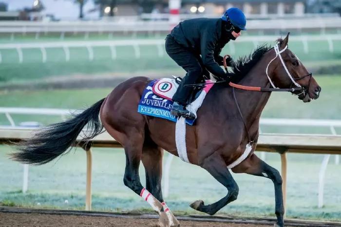 Keepmeinmind exercises in preperation for the Breeders' Cup at Keeneland Race Track 