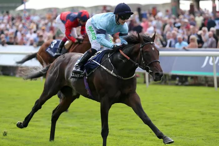 Epsom Derby News: Royal Patronage sole Highclere runner as Lysander swerved