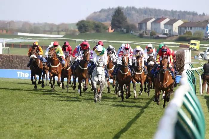 Ayr best bets: Mr Vango and My Silver Lining lead the trends in Scottish Grand National bid