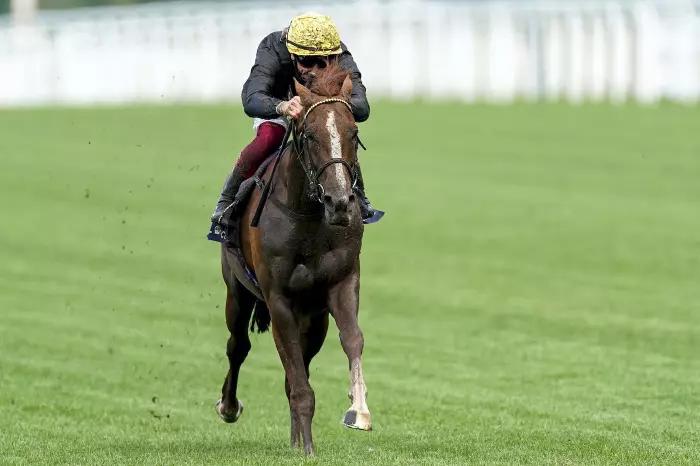 Friday’s York racing tips: Stradivarius to stride to victory once more under Frankie Dettori
