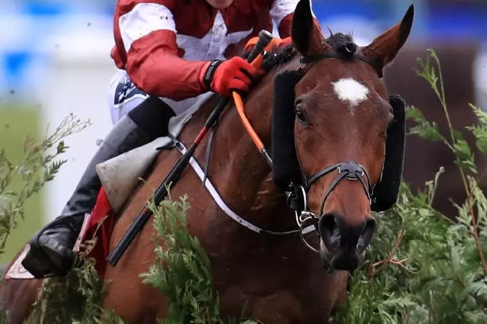 Tiger Roll in the Glenfarclas Chase at Cheltenham