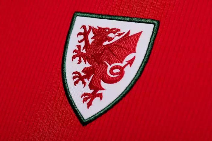 Close up of Wales National Football team kit
