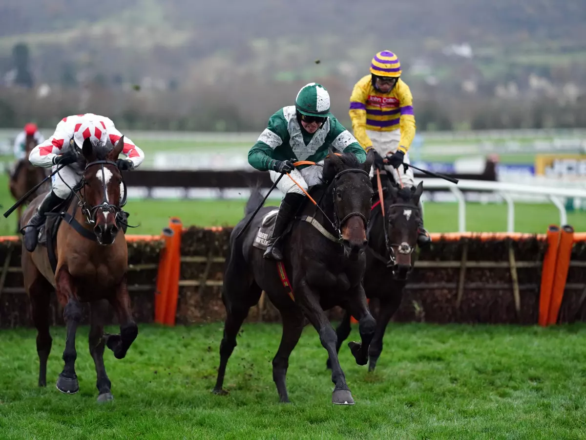 Albert Bartlett favourite Blazing Khal to miss Cheltenham