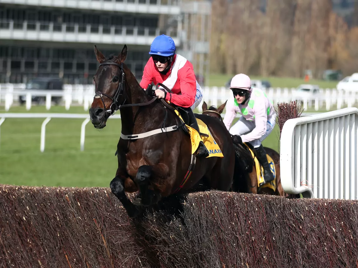 Allaho makes all to take Durkan honours on seasonal bow