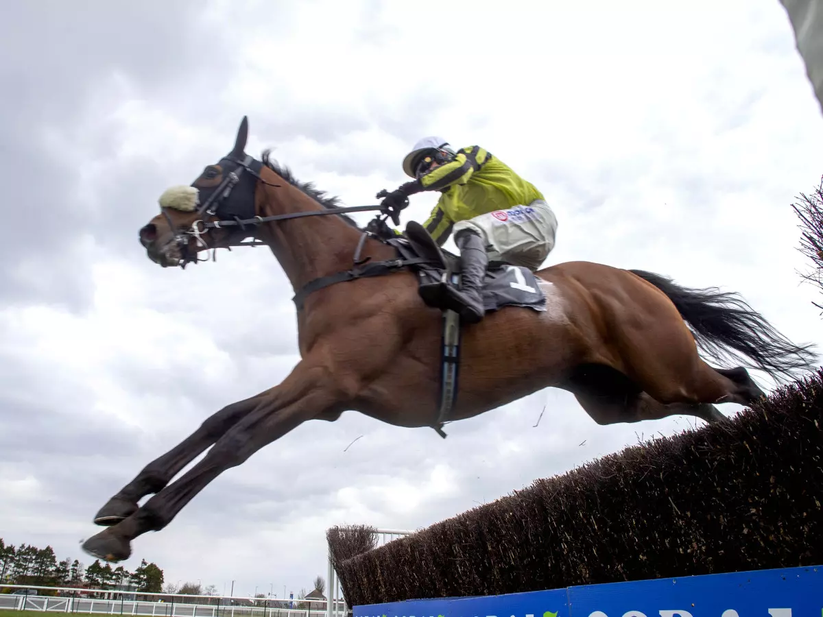 Allmankind could not add to an Aintree win at Huntingdon