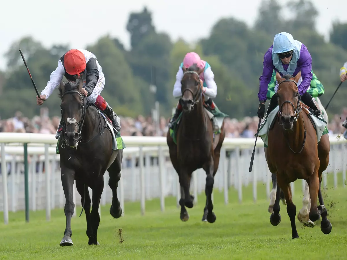 Arabian Queen (right) caused a massive upset when beating Golden Horn in the Juddmonte International at York in 2015