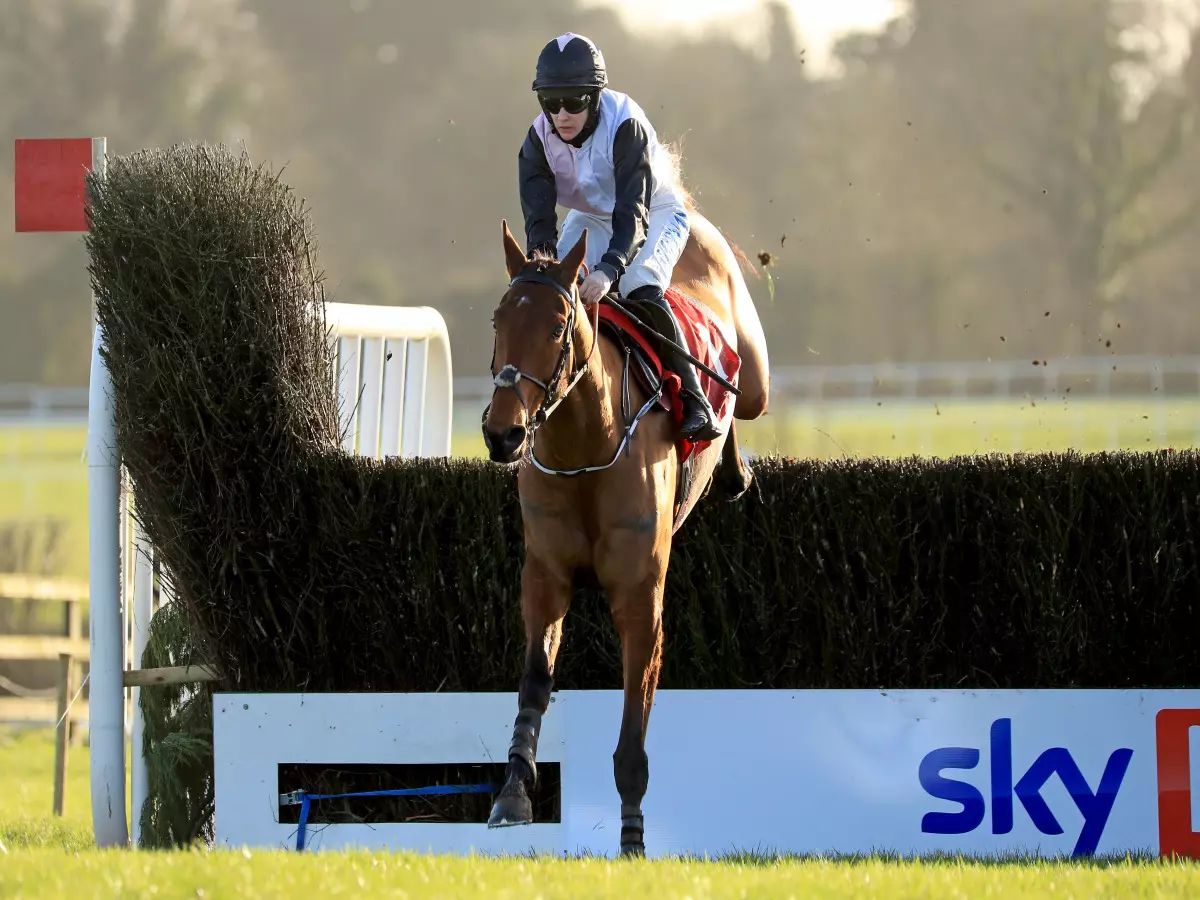 Bob Olinger set to head straight to Cheltenham