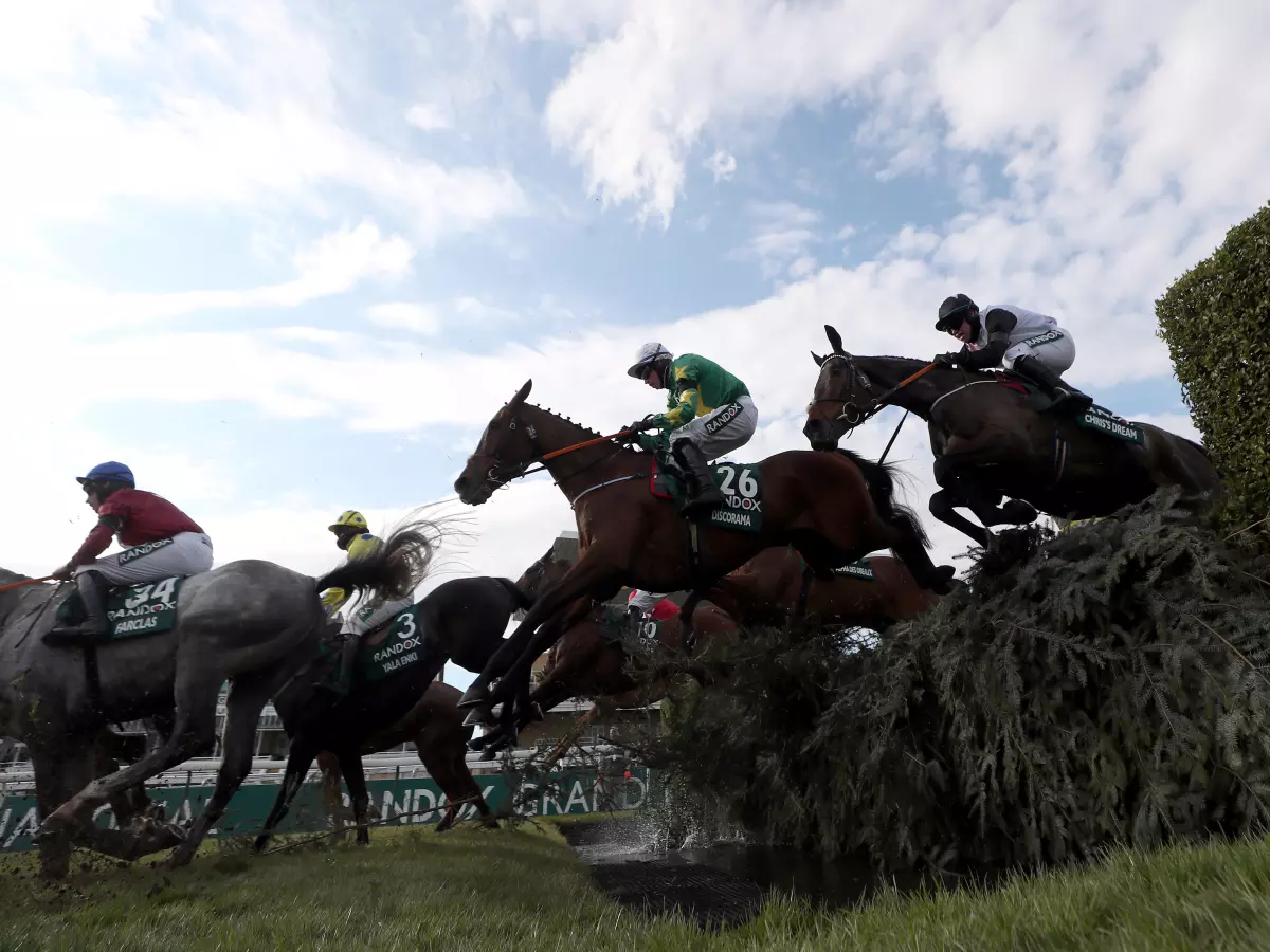 Discorama has a Grand National prep-run this week