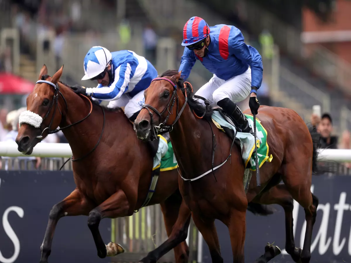 Dubai Honour (right) has been on a upward curve this year