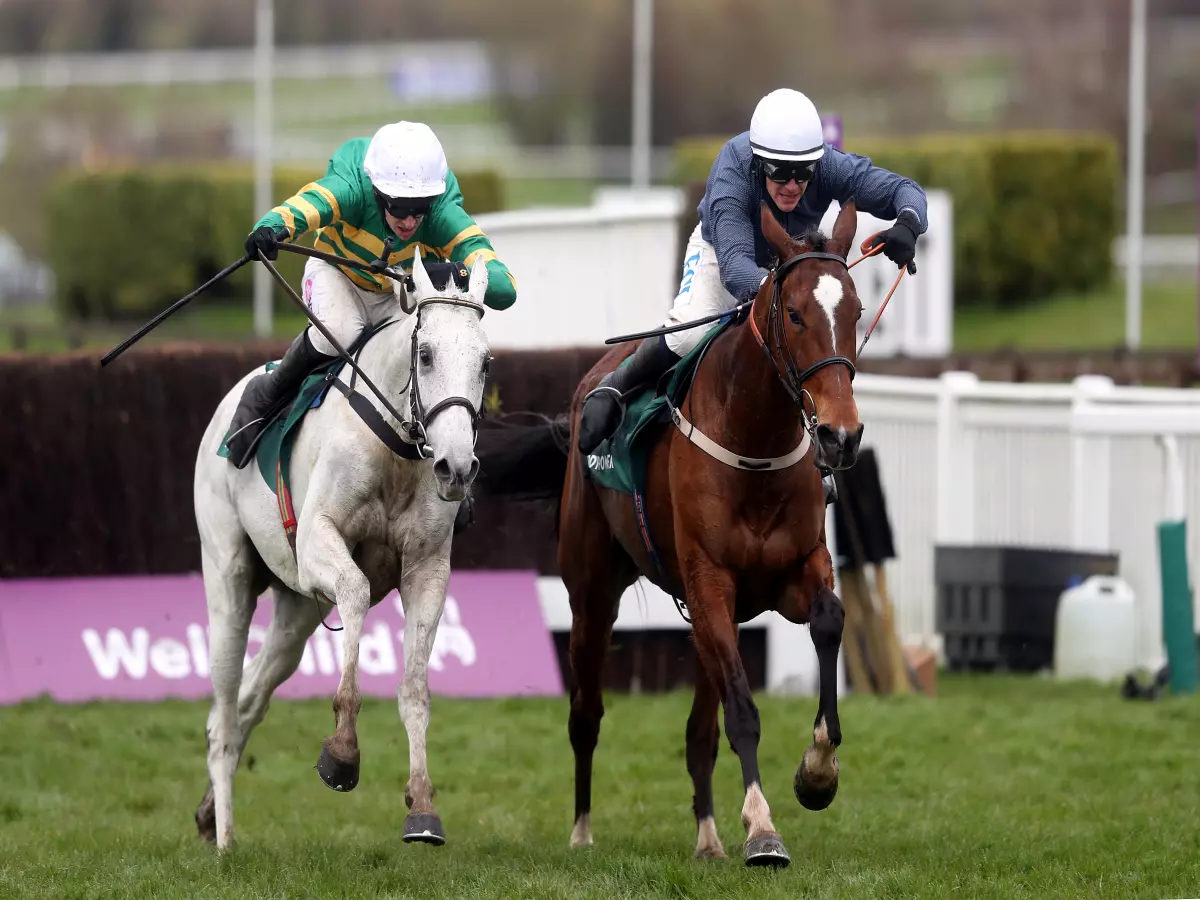 Elimay (left) and Colreevy fight it out at Cheltenham