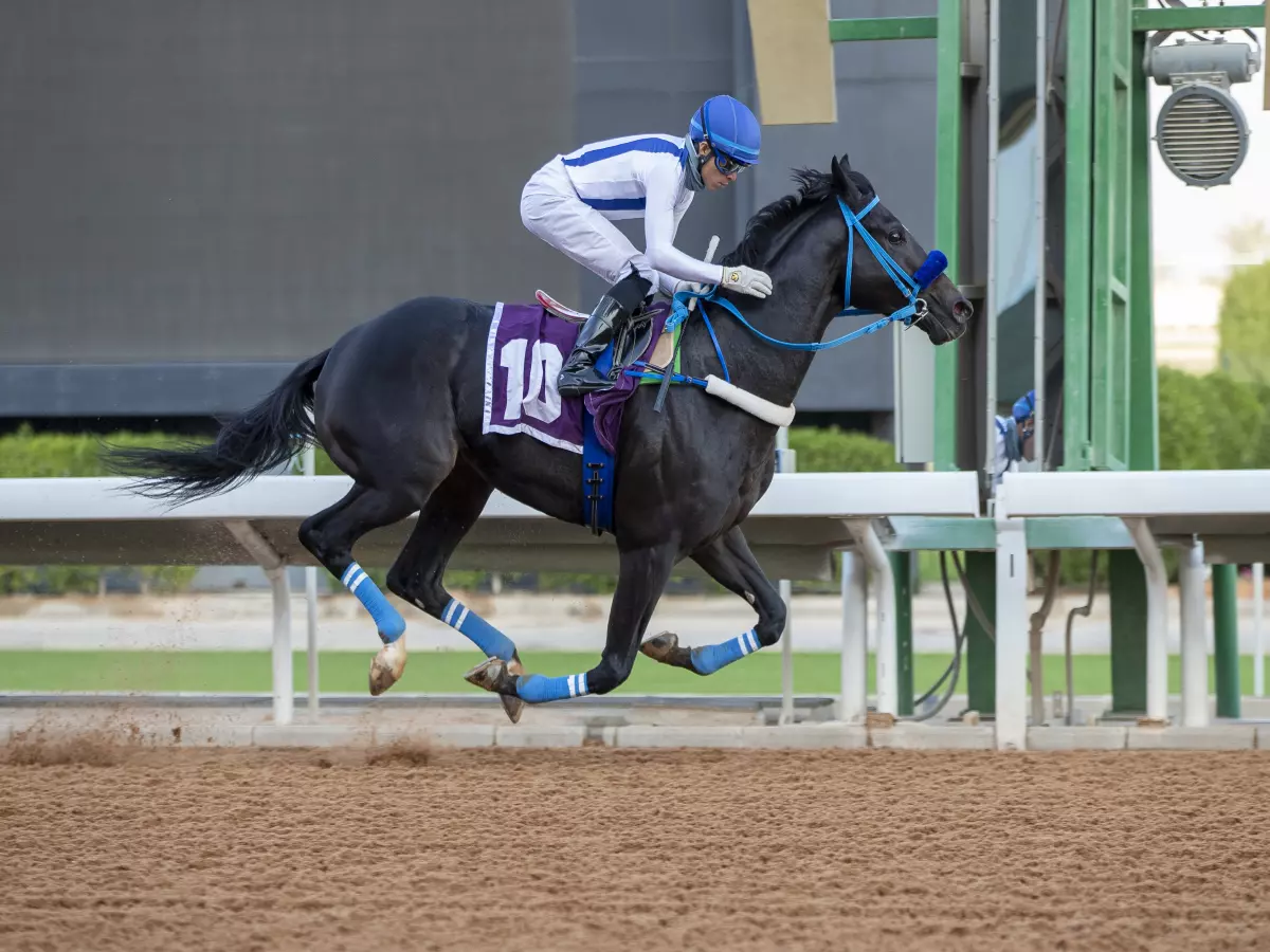 Emblem Road shocks the world’s best in Saudi Cup