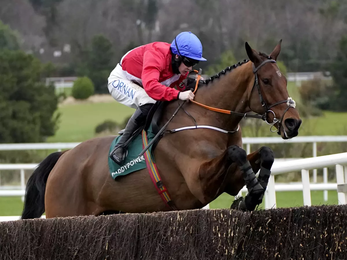 Envoi Allen winning the Paddy's Rewards Club Chase