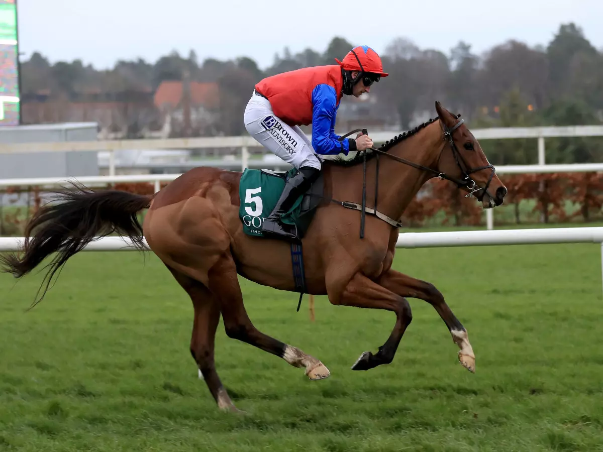 Facile Vega produces brilliant performance in Leopardstown bumper