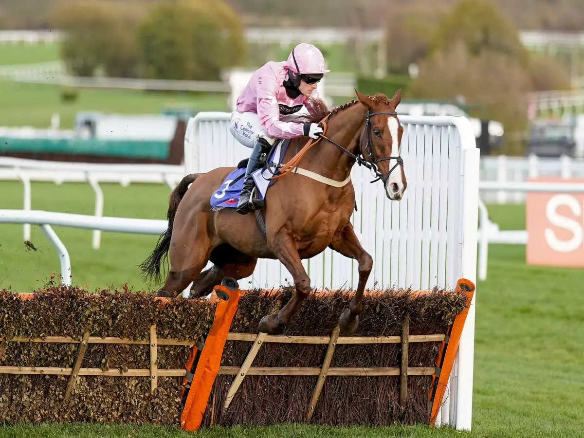 For Pleasure could head to Doncaster