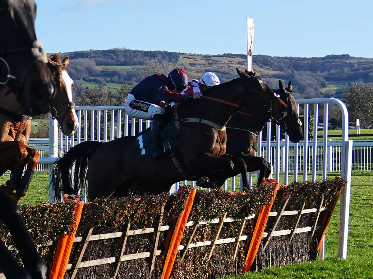 Jamie Snowden keen to see Datsalrightgino in Tolworth test